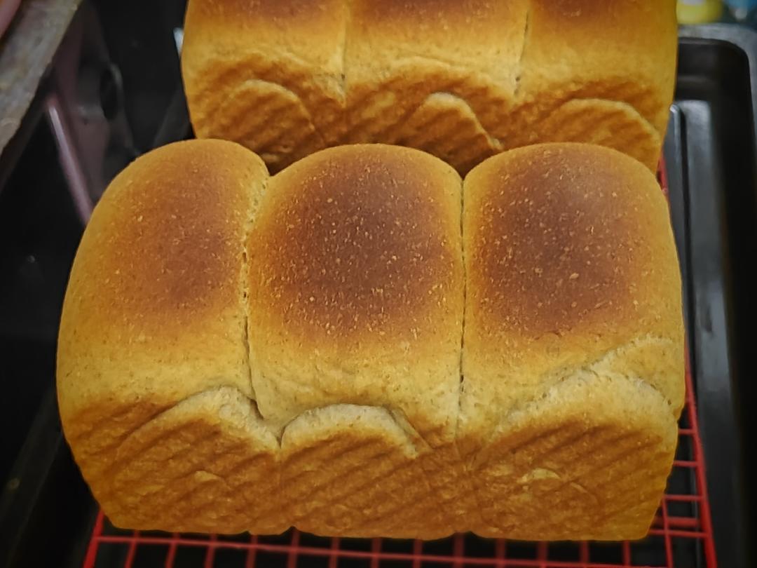 全家都爱吃的健康全麦吐司，新手也能做