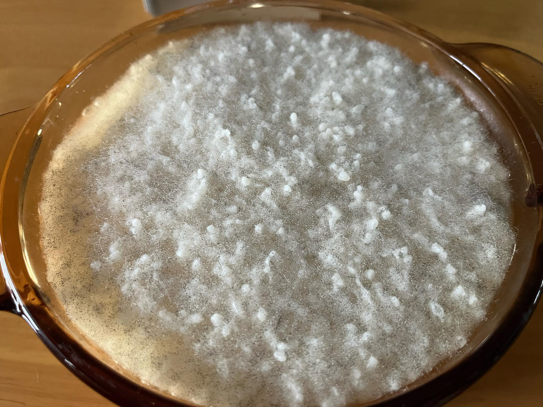 酒酿 (酒酿系列一）