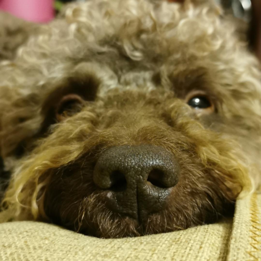 就是一扇门