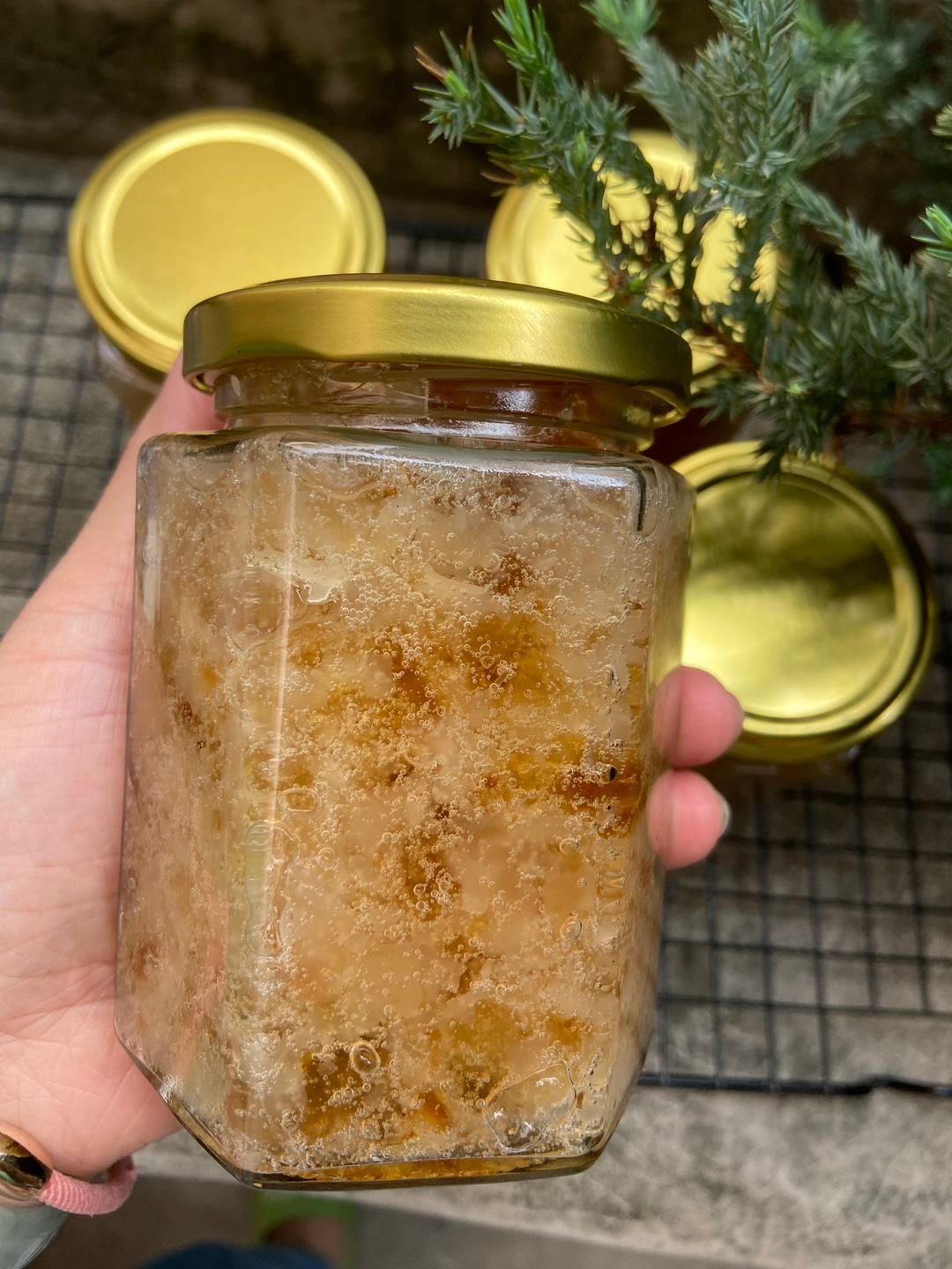 皂角米雪燕桃胶膏