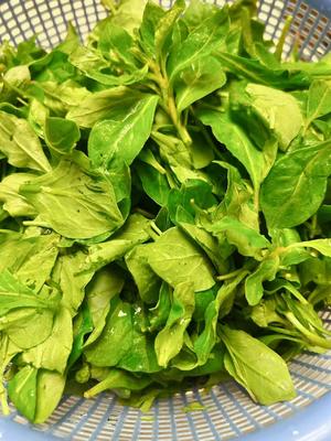 【清炒枸杞头,解锁春日野菜新吃法!的做法步骤图】水如珮nj_下厨房