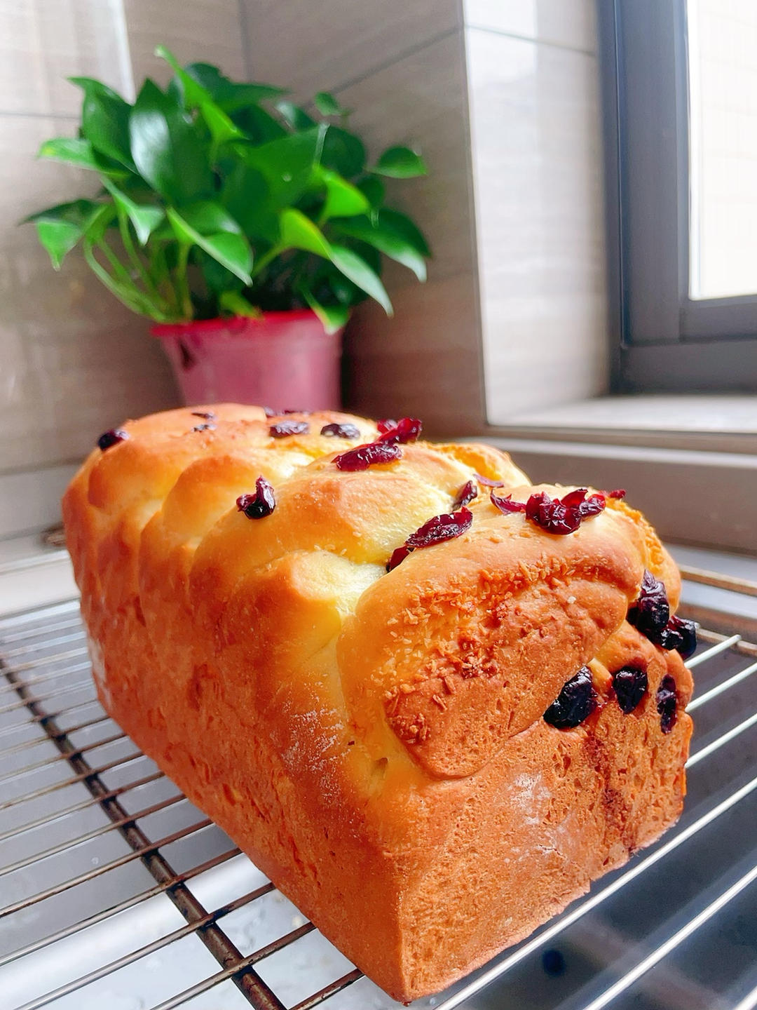 蔓越莓椰蓉吐司