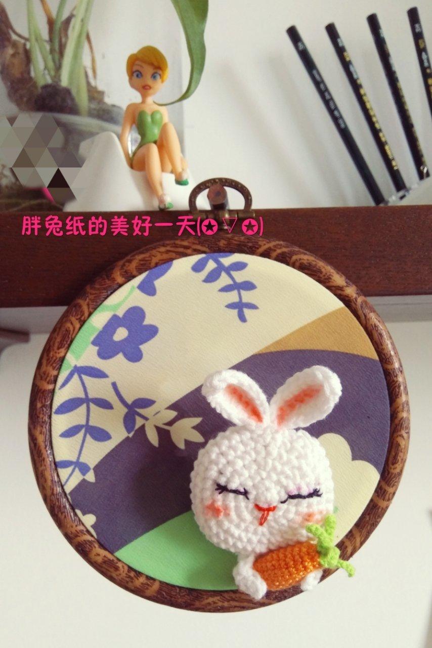萝卜、胡萝卜花