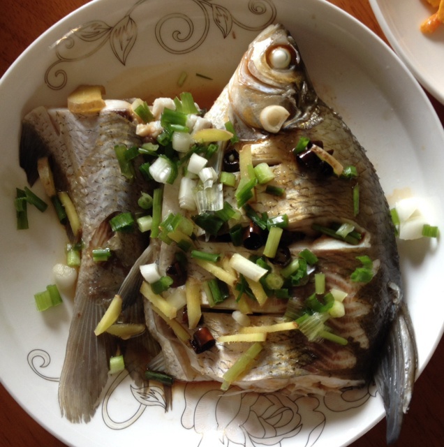 小竹5做的清蒸鳊鱼