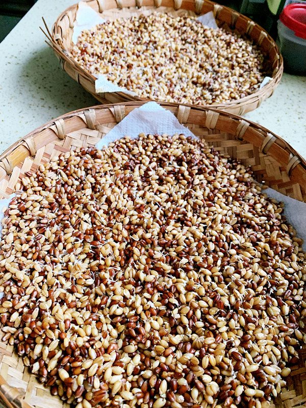 用发芽小麦种子做的真正的全麦吐司面包(生命的魅力）的做法 步骤2