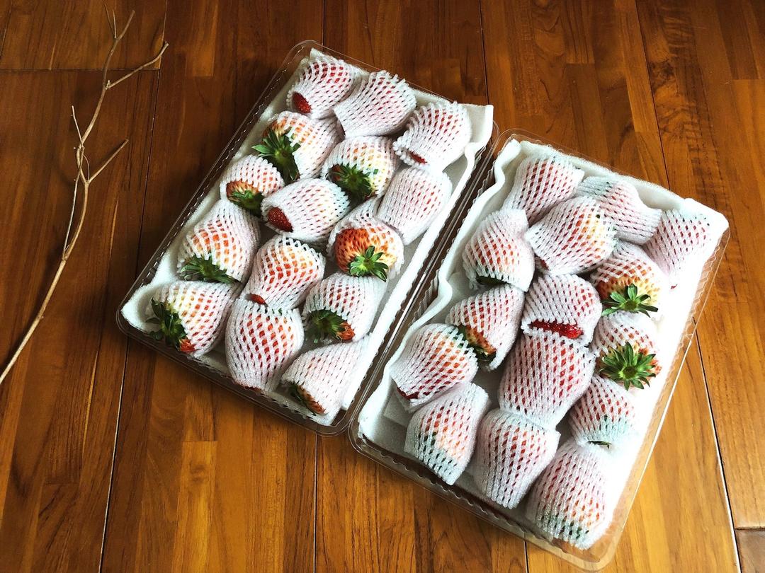 【视频】草莓慕斯蛋糕～抓住草莓季的尾巴