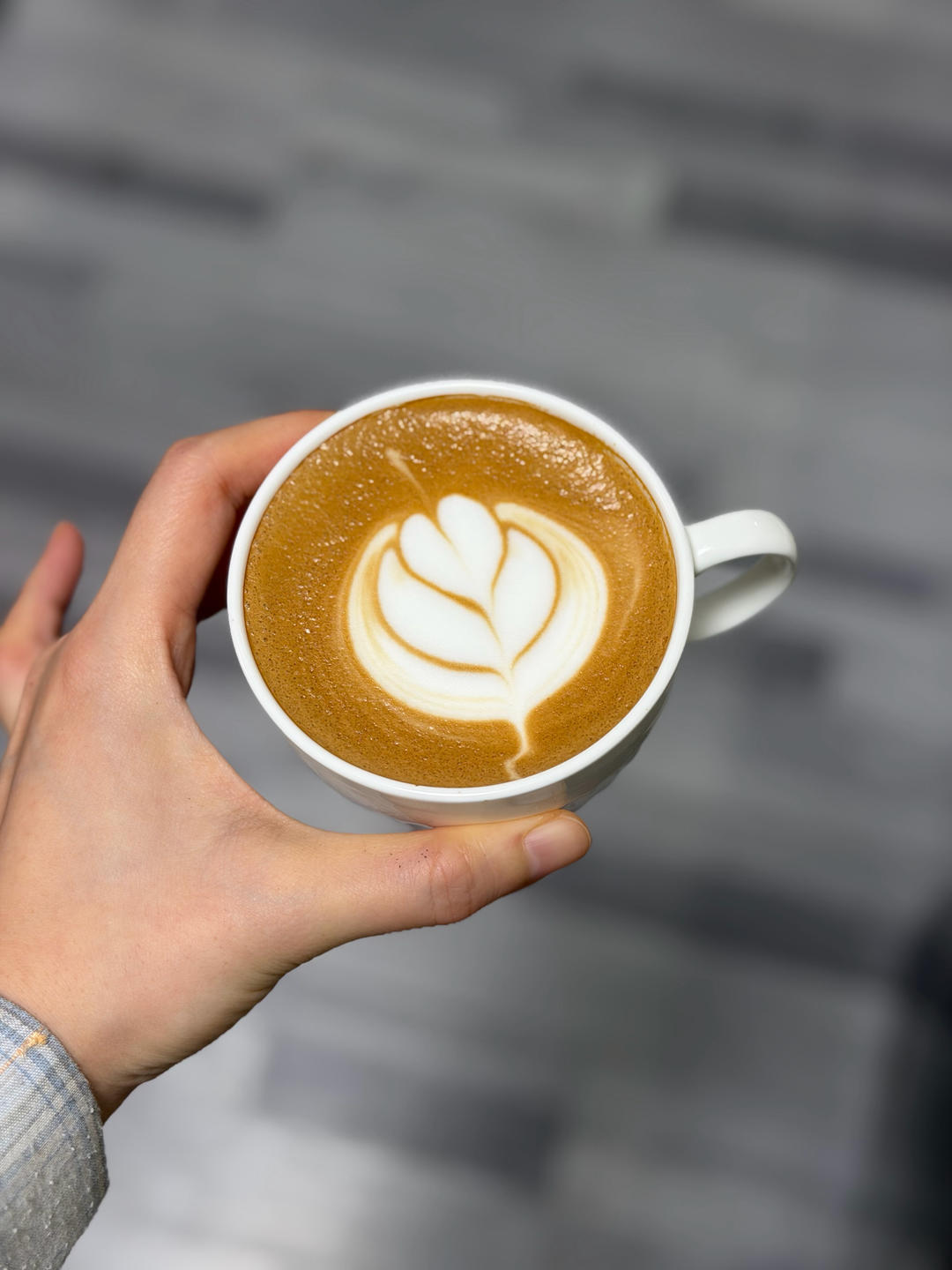 雯雯的咖啡☕️日记