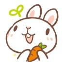 初甜甜爱烘焙