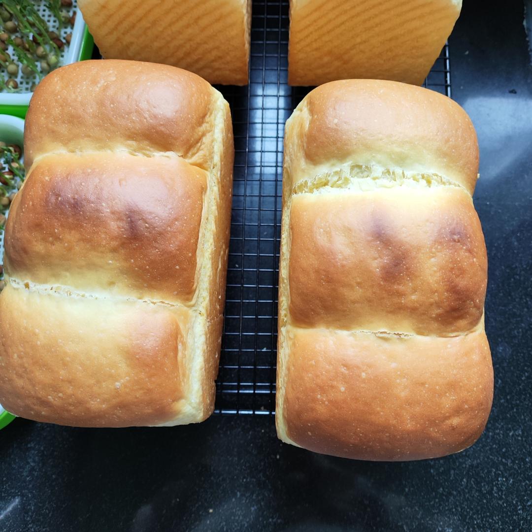 波兰种奶油吐司