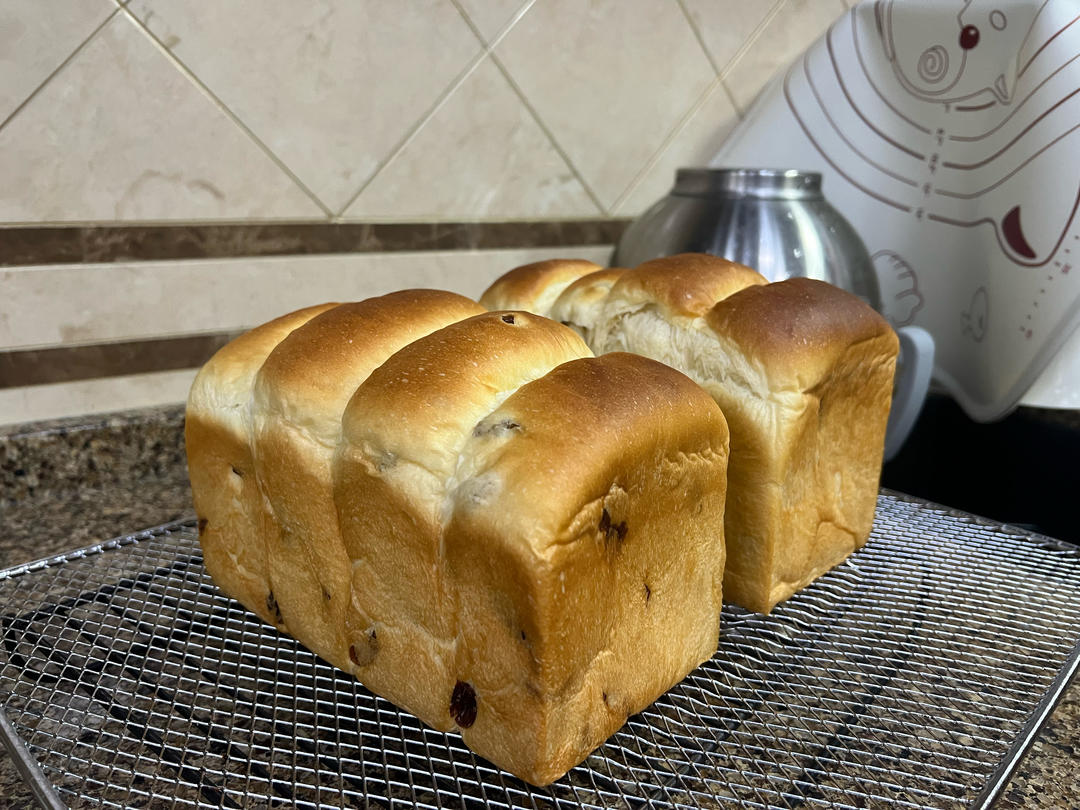 炼乳鲜奶提子吐司｜奶香加倍柔软加倍
