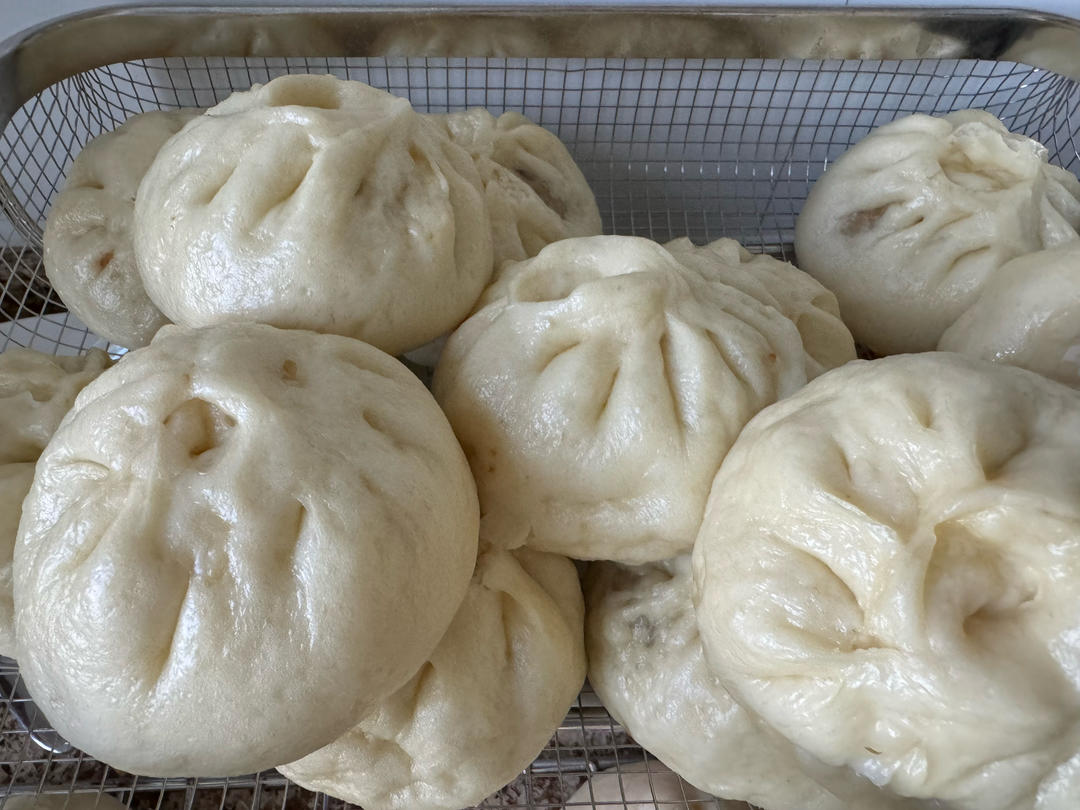 萝卜丝粉丝鲜肉包子