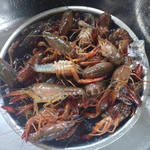 黄焖小龙虾爱花蛤的做法 步骤1