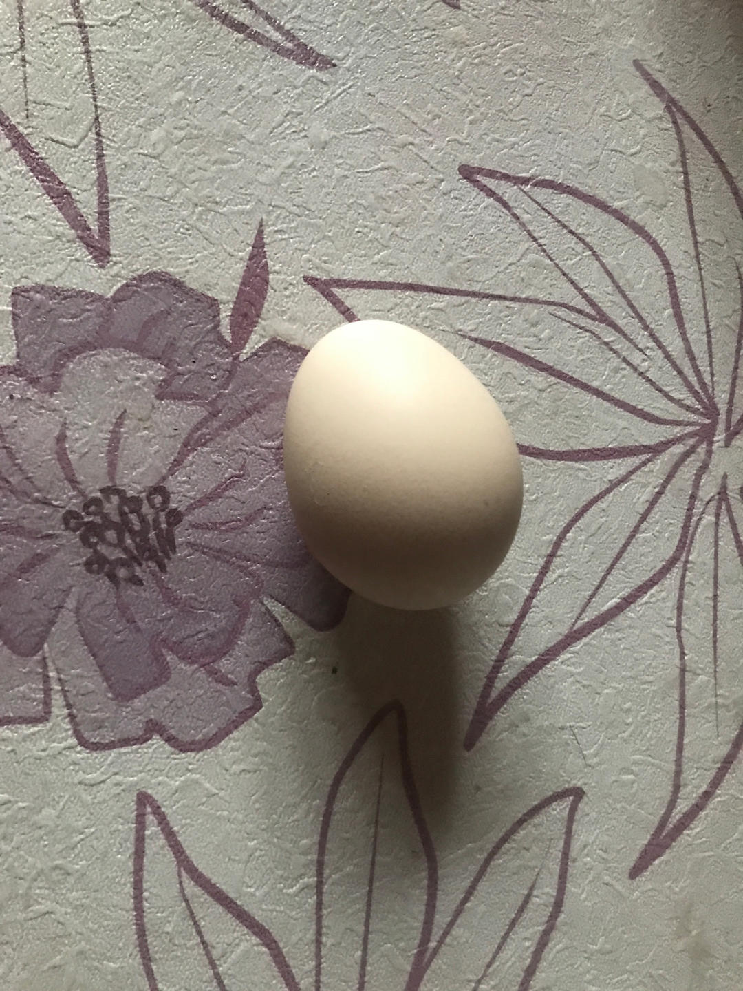 早餐•2026年3月30日