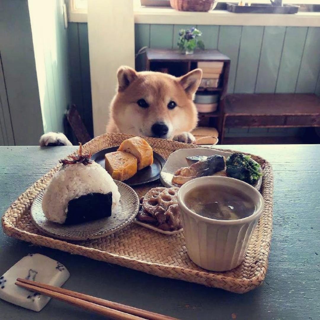 今天做饭吧的厨房