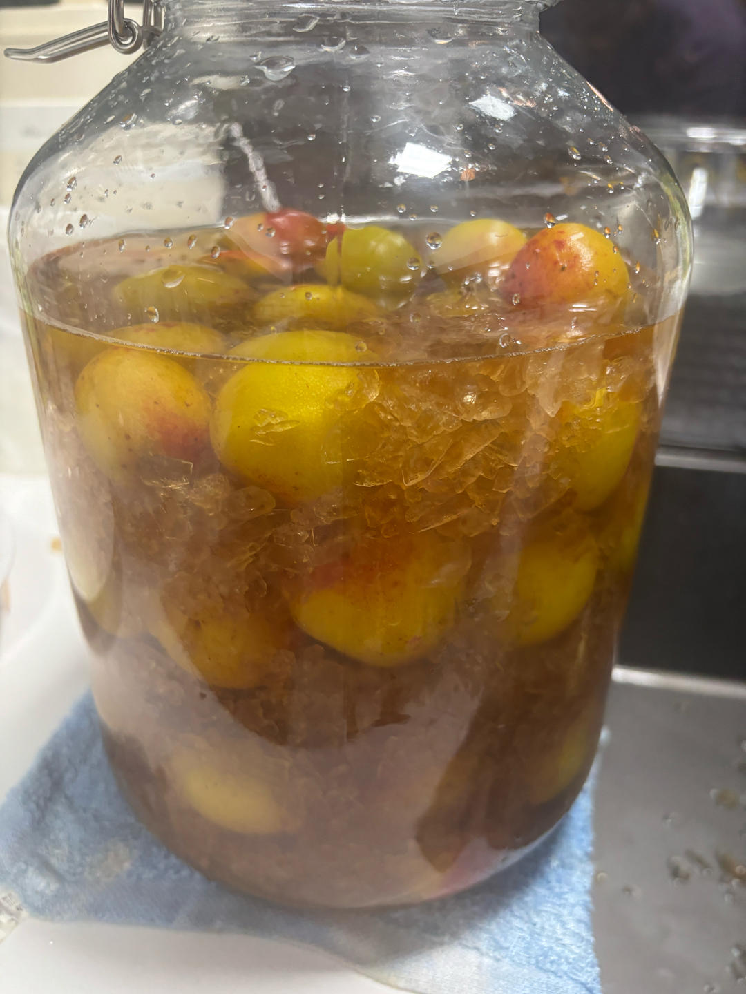 【青梅酒】梅子的沉醉时光（已填坑）