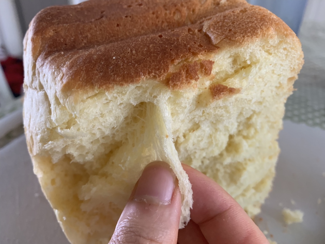百试不败面包机做面包🍞