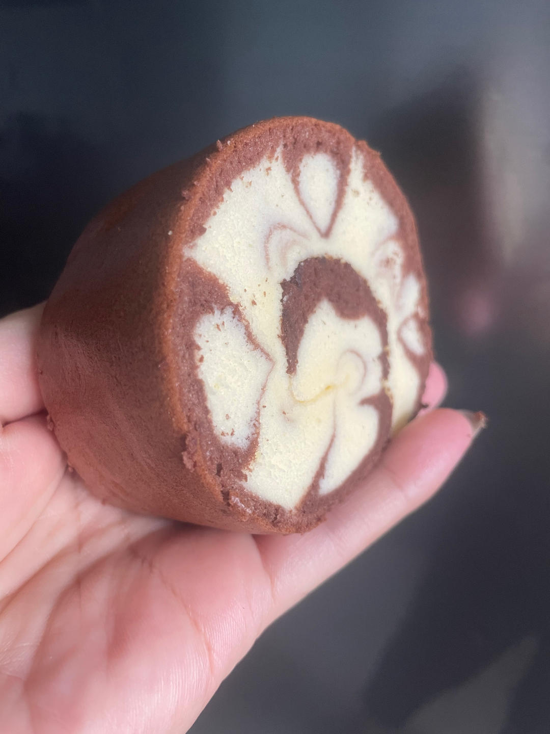 【蛋糕卷小分队】8：可可旋风卷