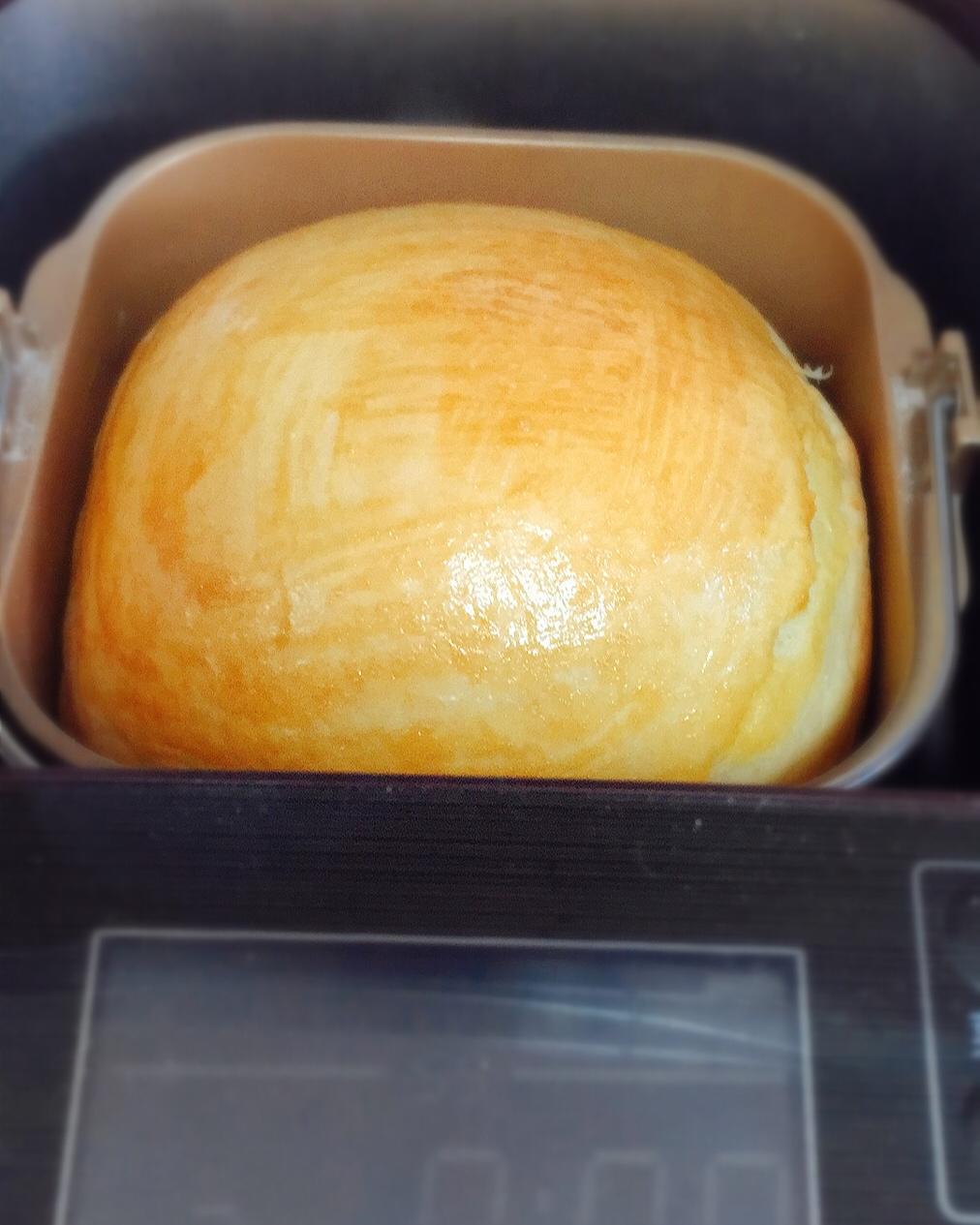 酸奶提子吐司（东陵面包机版）