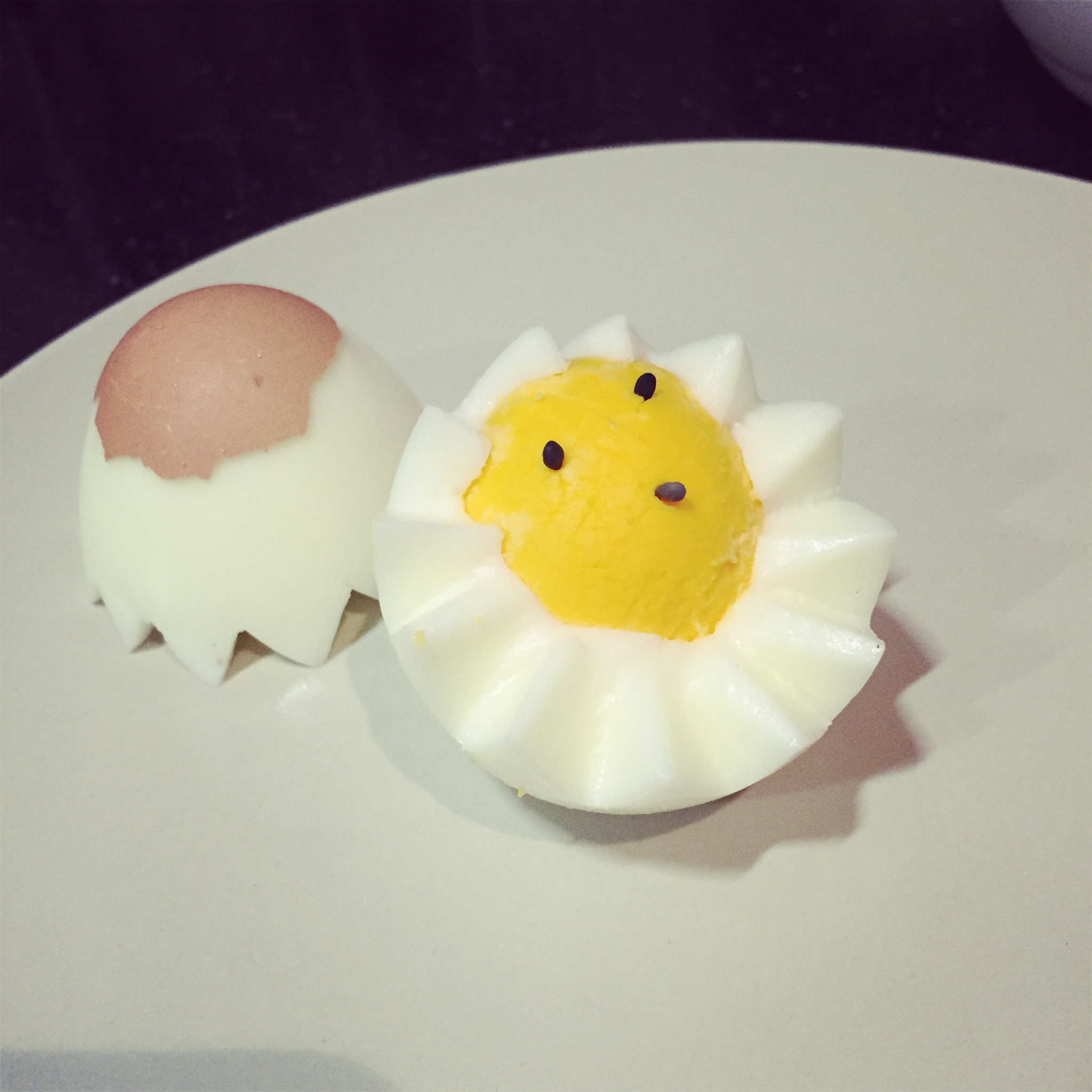 鸡蛋是怎样变成小鸡的