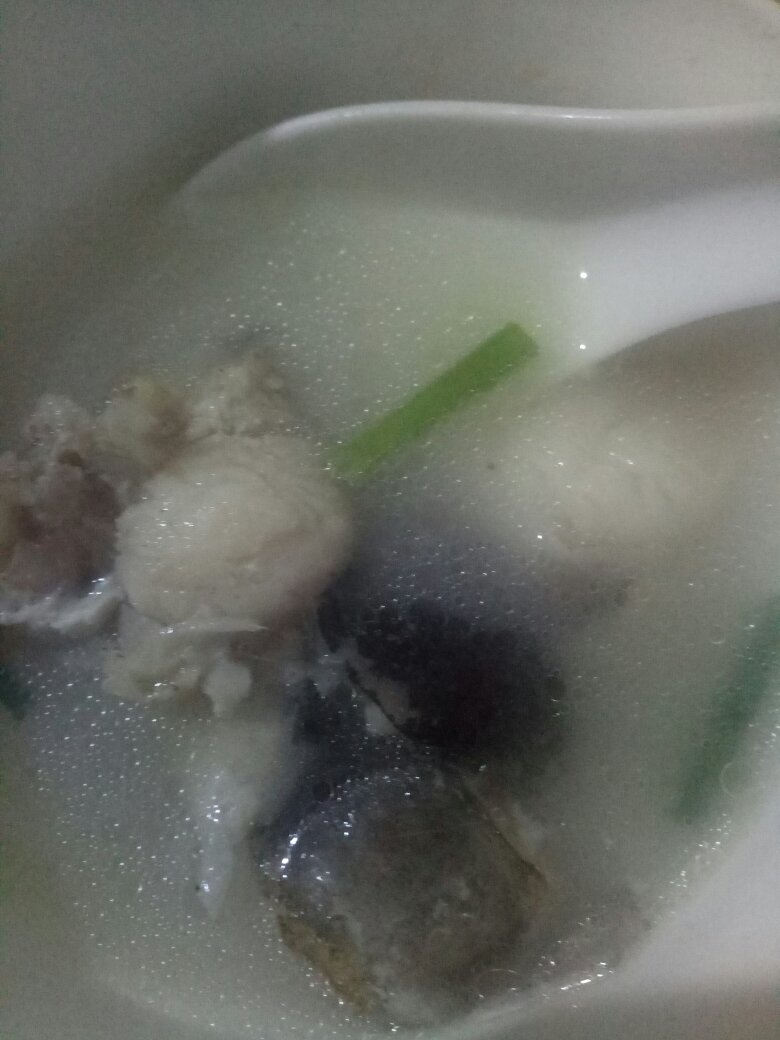 清炖江团鱼汤