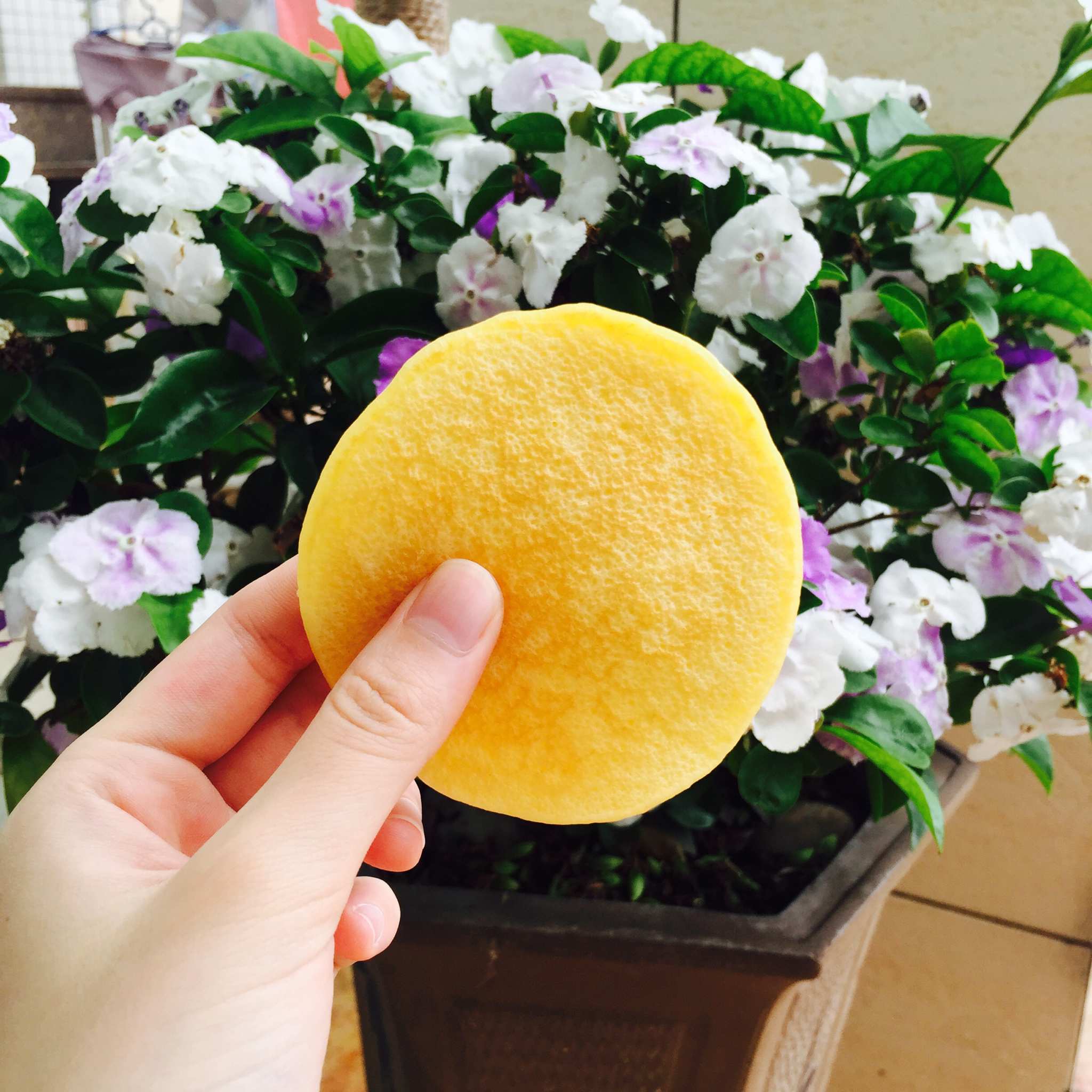 小妮纸的beautiful life