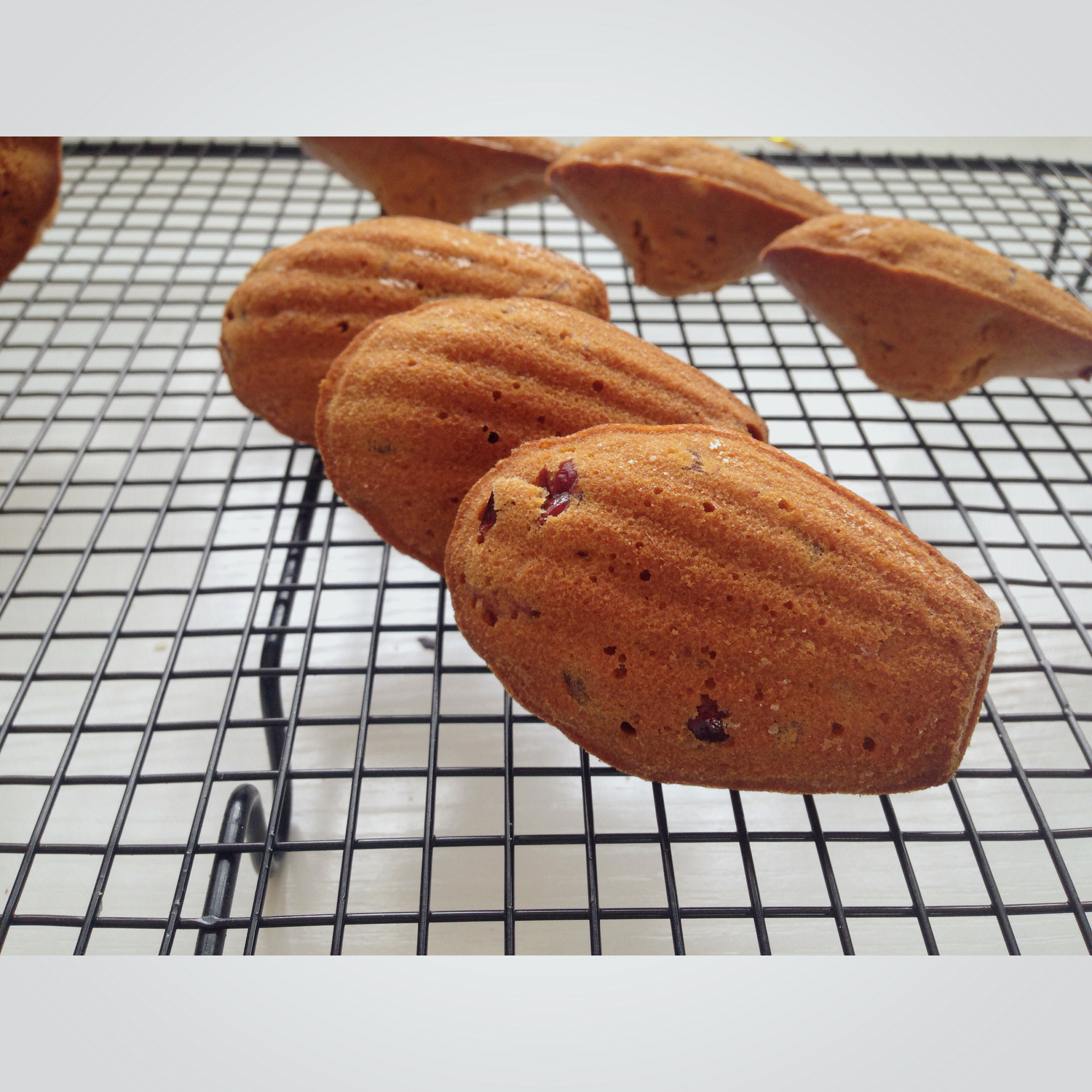 焦糖酱蔓越莓玛德琳