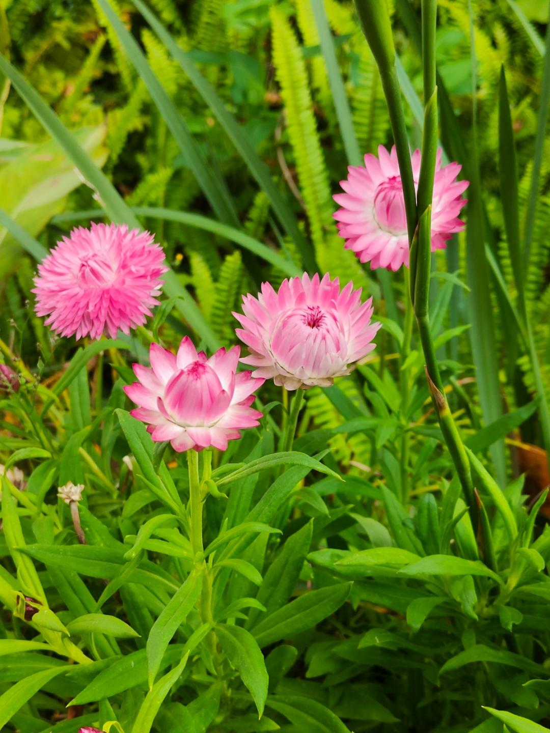 下厨房用户_y5wjg