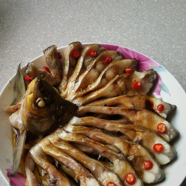 孔雀开屏鱼