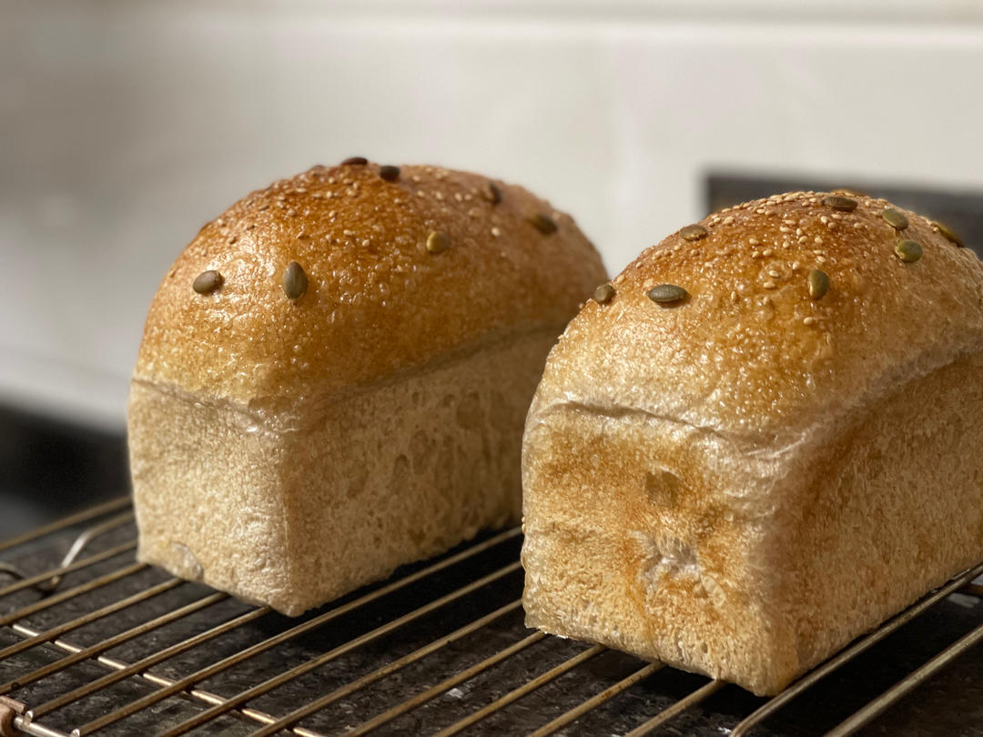 烫种高水量全麦吐司（自用的做法