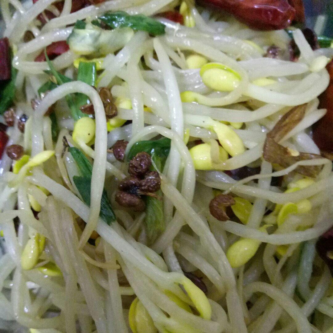 素炒黄豆芽