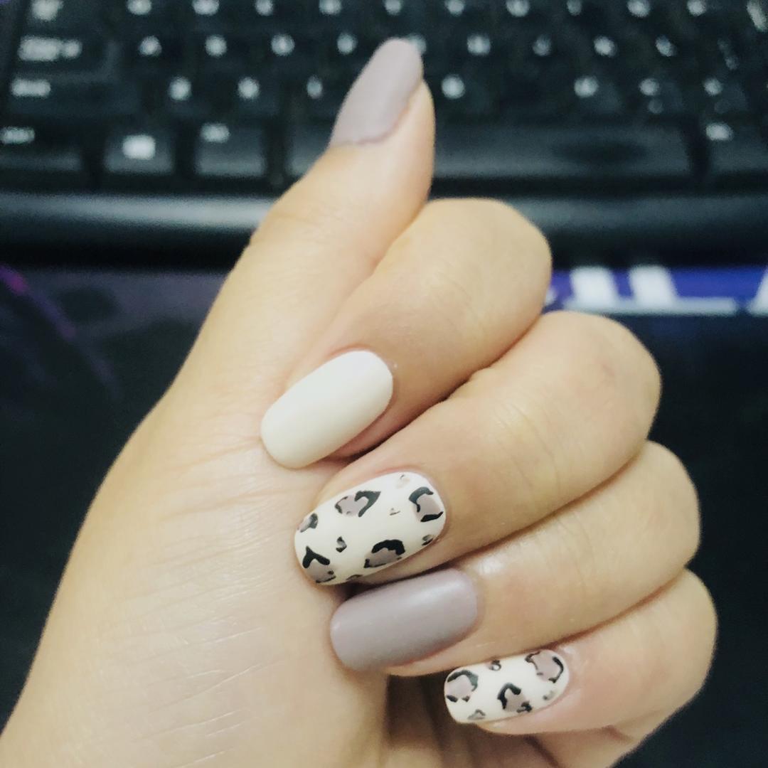 就是胖鸭
