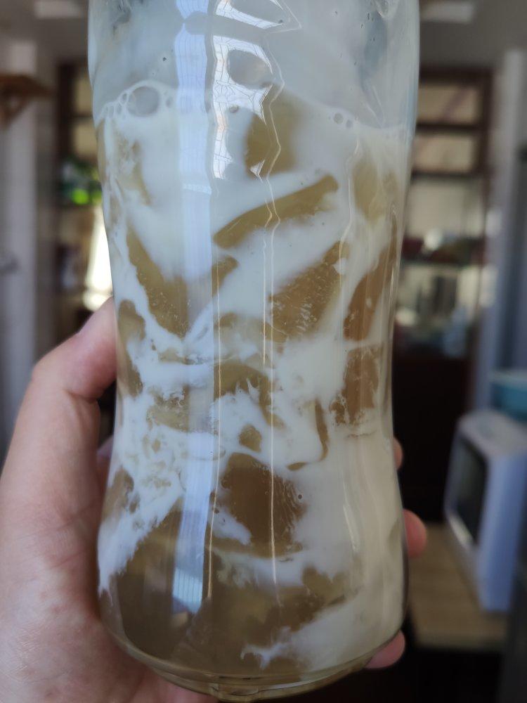 海底椰茅根雪梨菊花膏