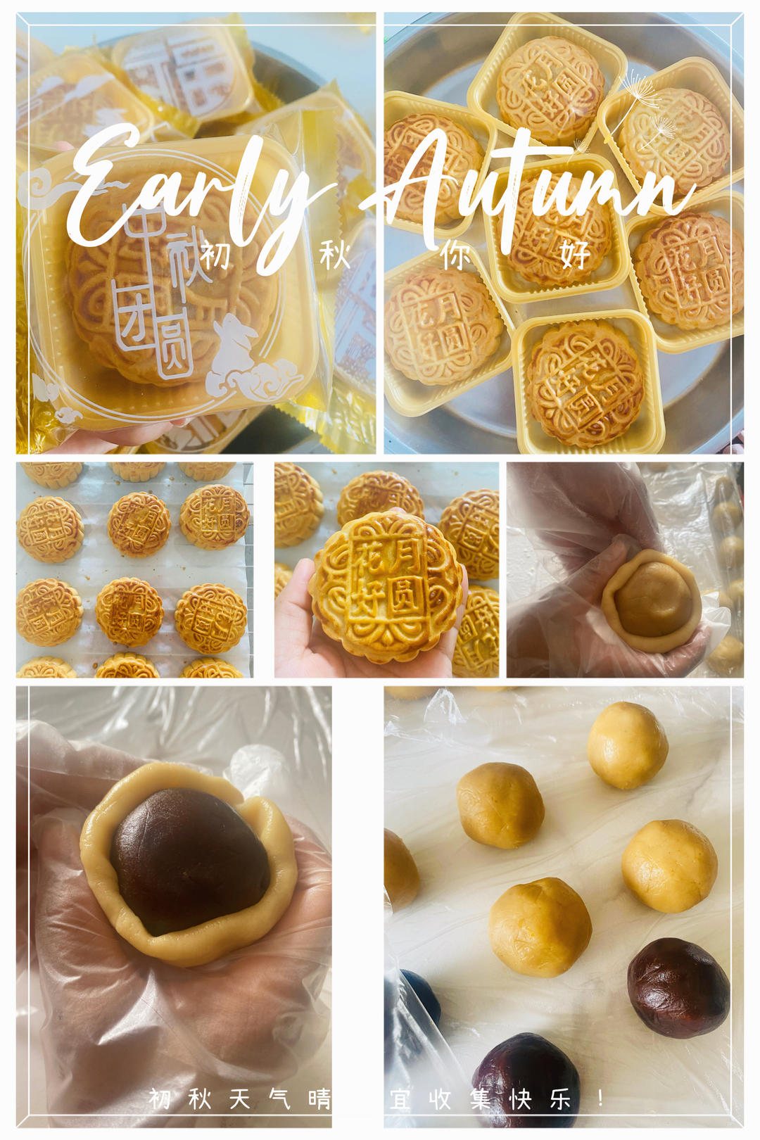 广式月饼—蛋黄莲蓉月饼