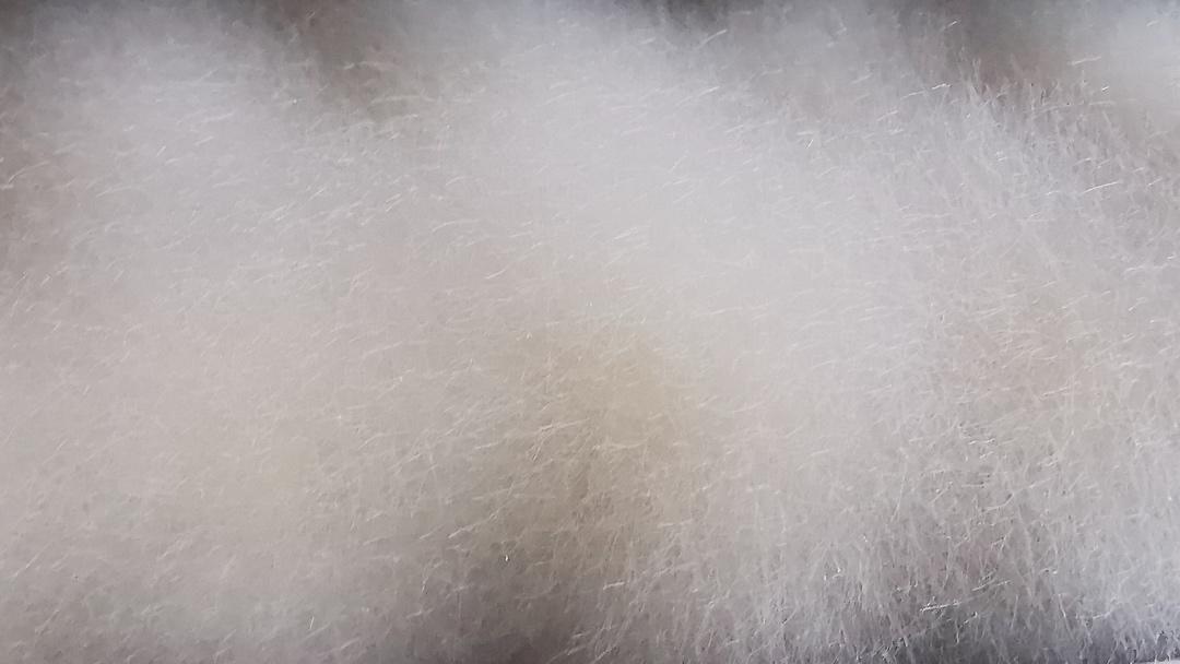 毛豆腐（狐狸一样的毛）