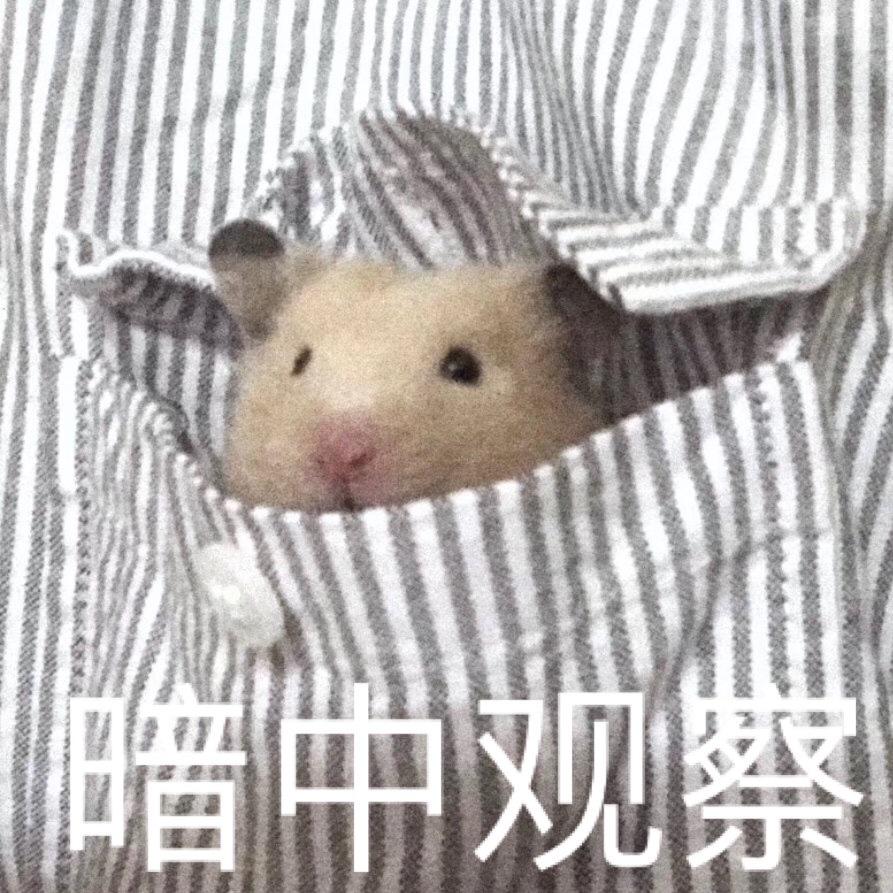 呼叫0822