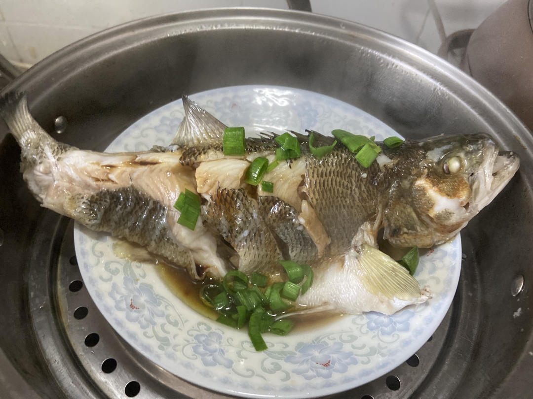 超入味清蒸鱼～清蒸鲈鱼桂花鱼（家常独创）