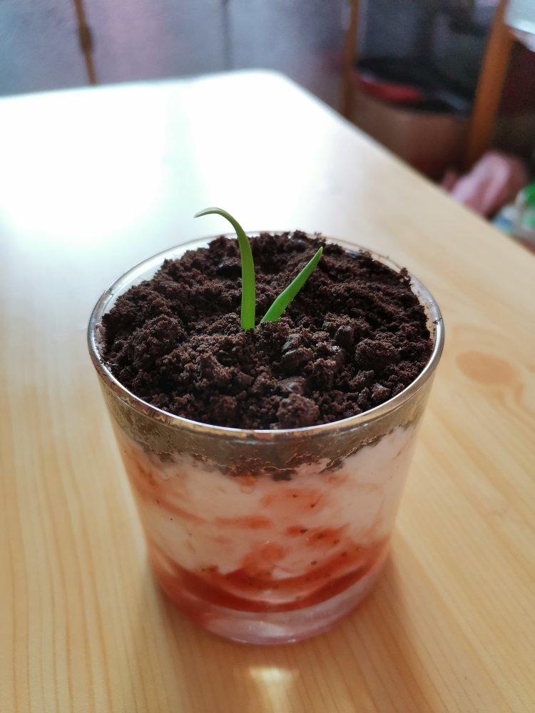 酸奶盆栽/继续延续小清新风/治愈系甜品