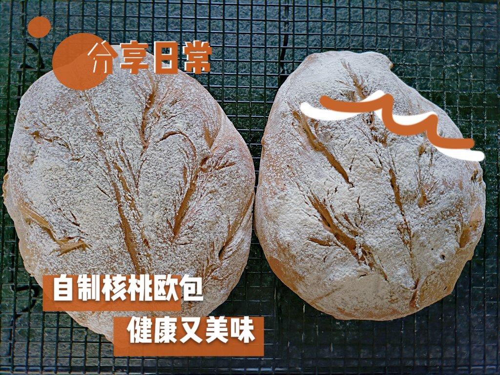 15分钟果仁软欧包/欧洲家庭面包