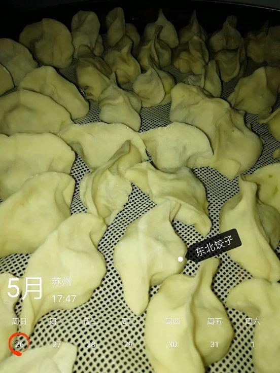 普通大肚饺子包法（内有羞答答小视频ヾ(@^▽^@)ノ　）