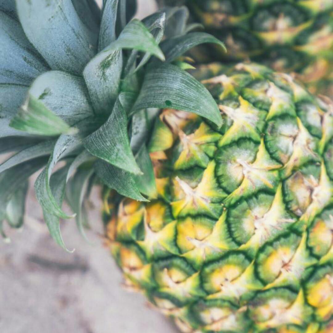 按住你de猪脑壳