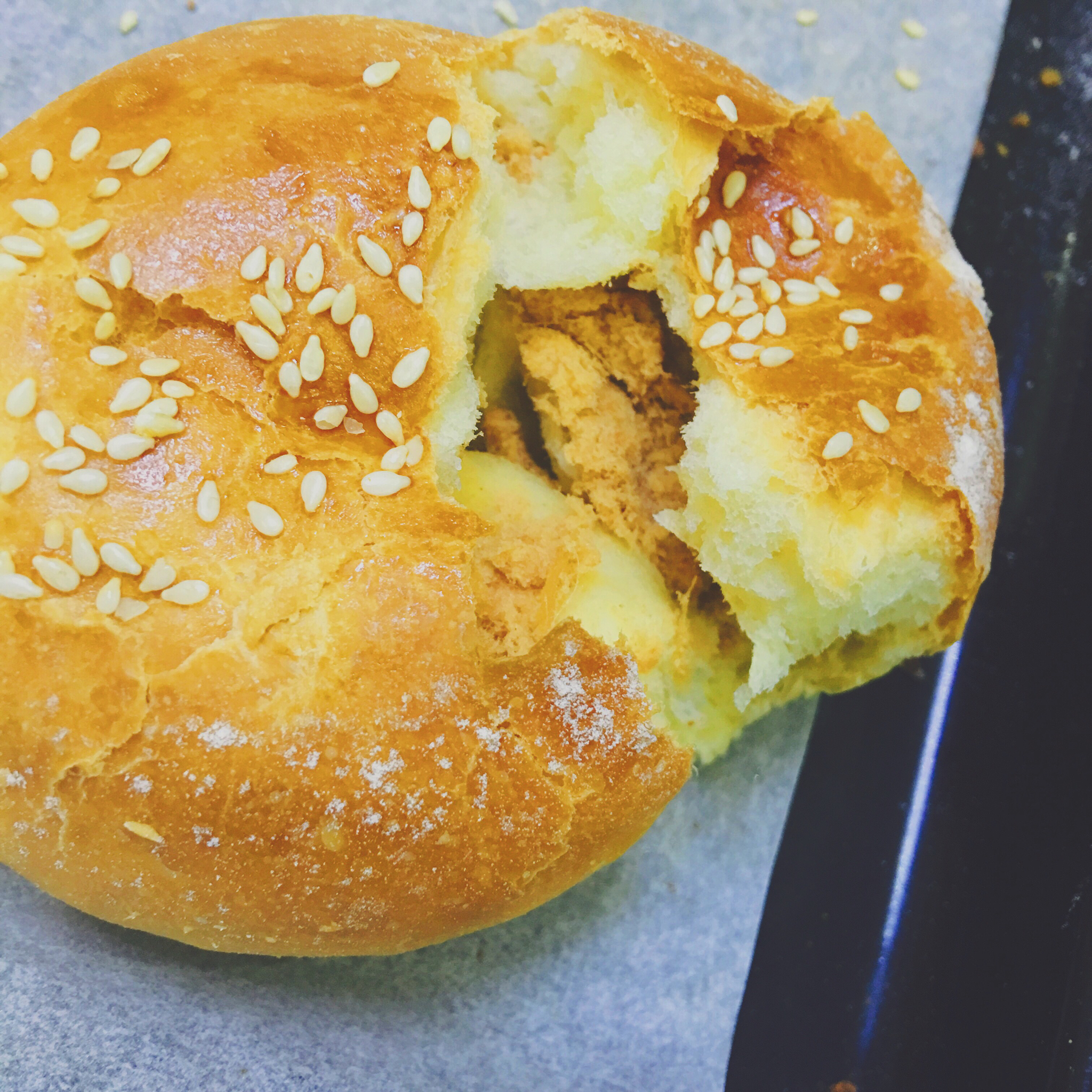 提子土司（柏翠面包机PE6280）自用方子