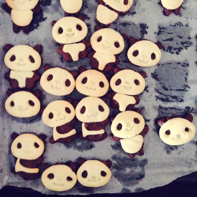 小熊猫饼干 萌呆了~。~  #皮黑森林#