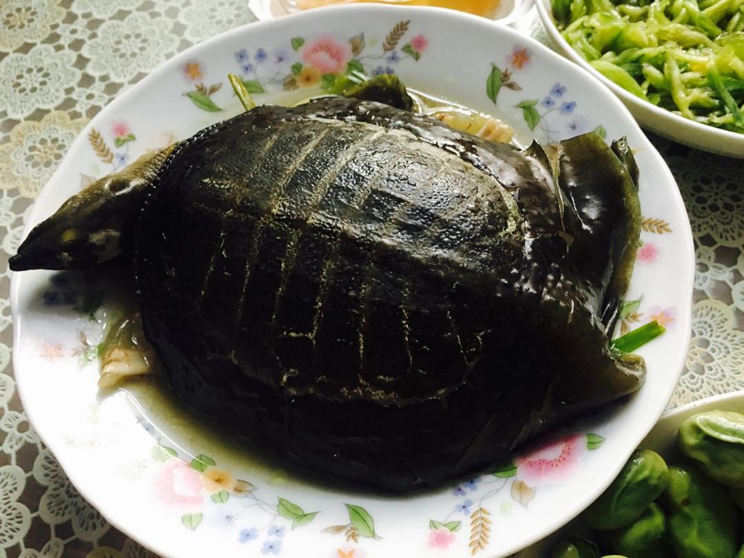 清蒸甲鱼