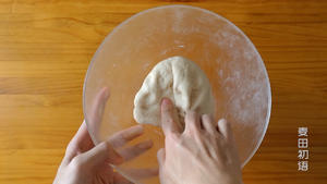 适用所有面包的中种面团的做法 步骤13