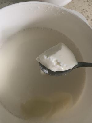 不过滤超级粘稠自制酸奶（希腊酸奶）奶粉版和牛奶脱脂不脱脂全部都试了！的做法 步骤11