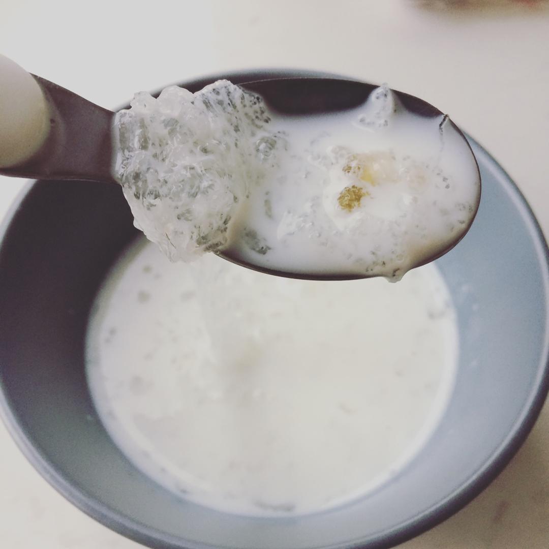 牛奶桃胶炖雪燕
