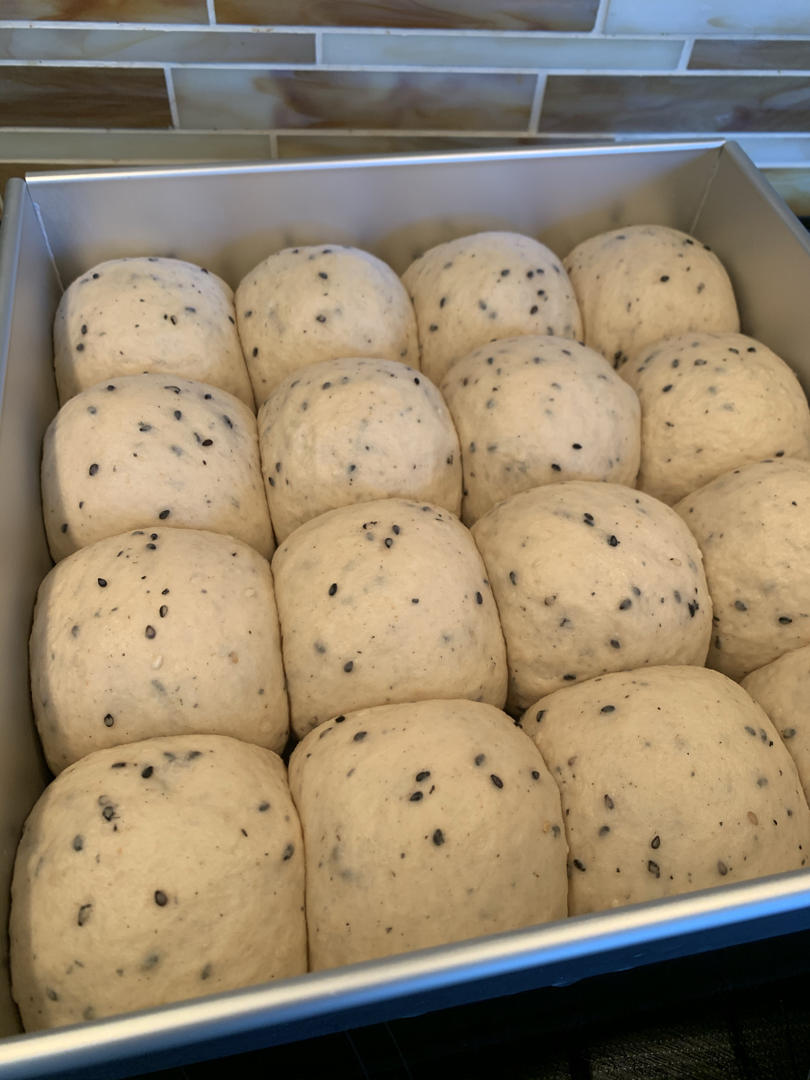 波兰种全麦面包🍞