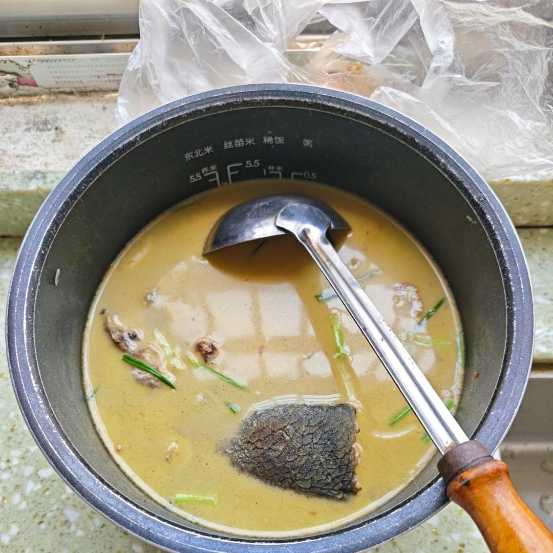 术后必备黑鱼汤