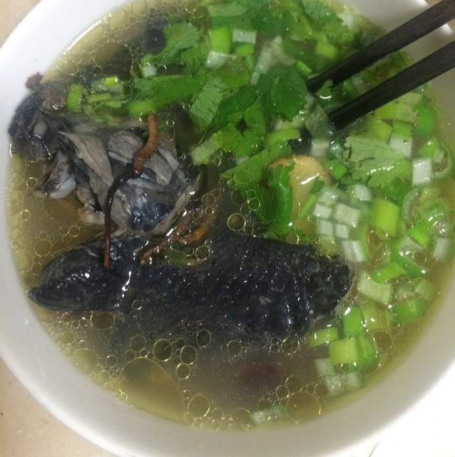 虫草乌鸡汤