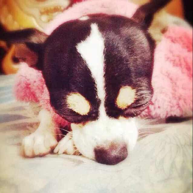 � 小阿萱。（芮熙.cake）